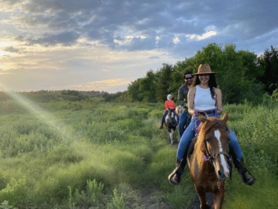 Austin: Maverick Horsemanship Trail Ride